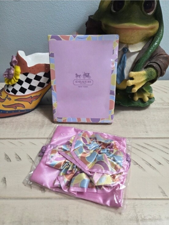 Coach Other - Coach x CanCam Japan Exclusive Floral Satin Scrunchie & Pouch Set, NWT